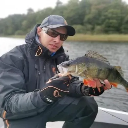 Single-story By The Grabczyn