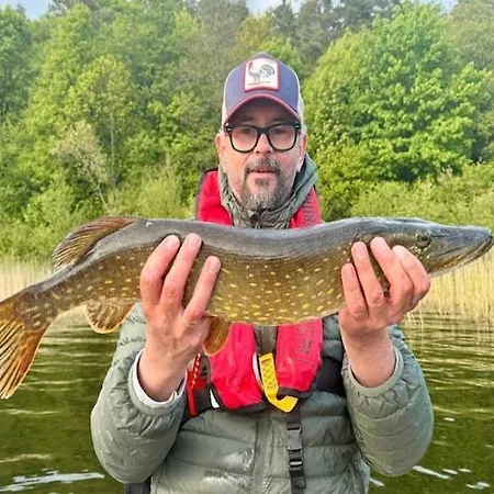 Hébergement de vacances Single-story By The *